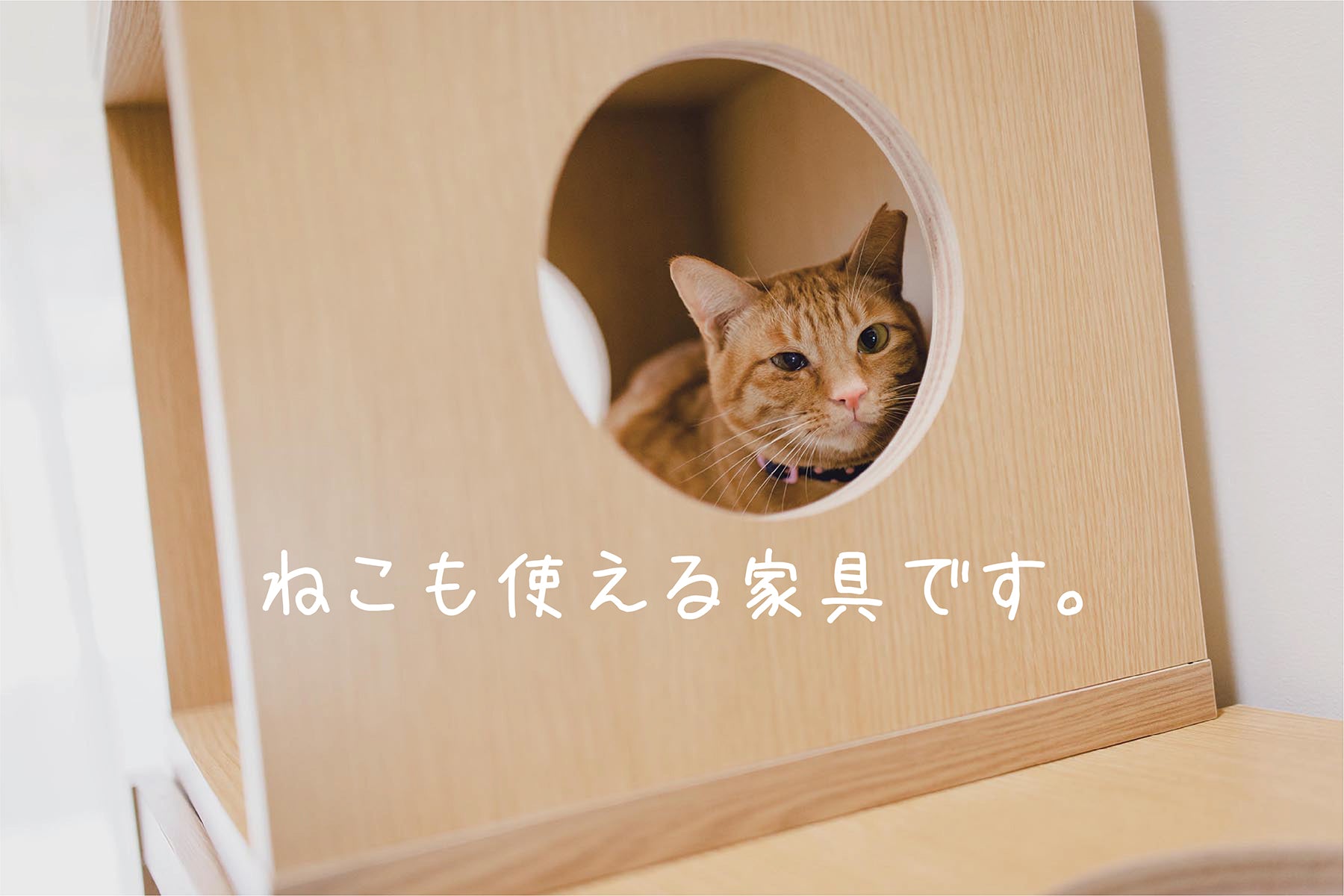 にゃんと一緒 デスク