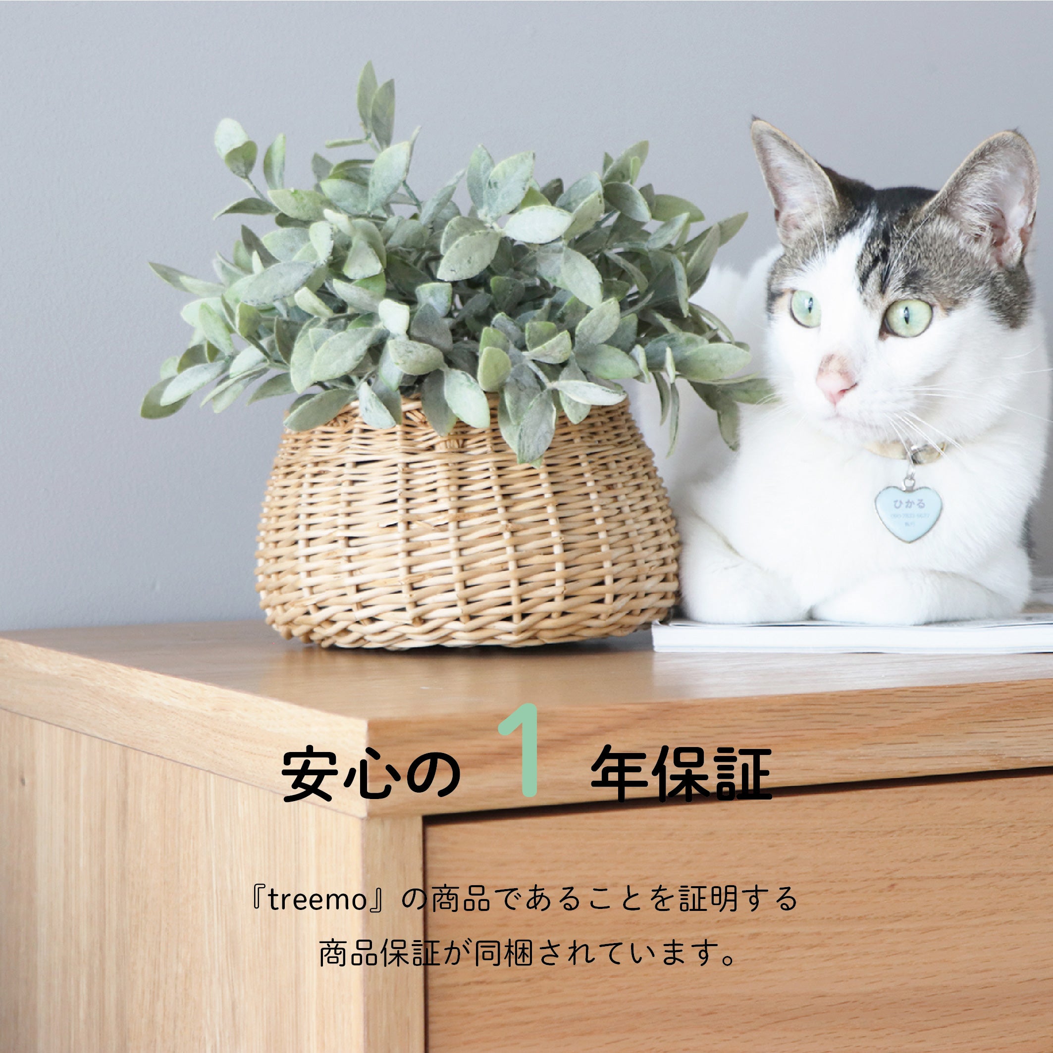 のぞきみ チェスト